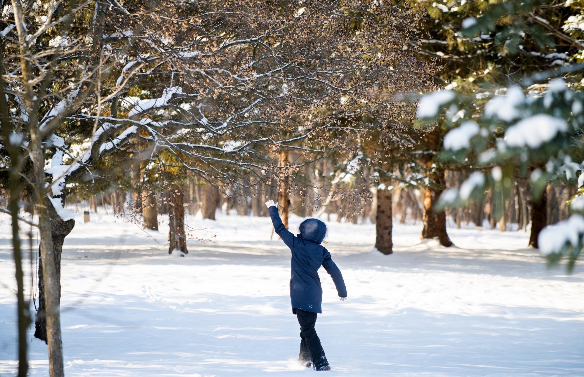 student walking in the woods during the winter